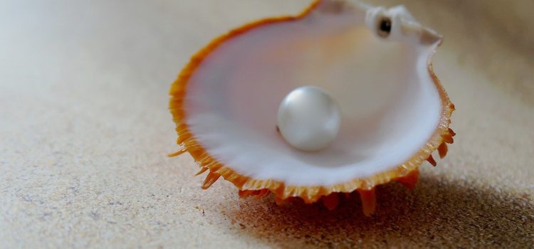 Quels sont les atouts du coussin coquillage ?