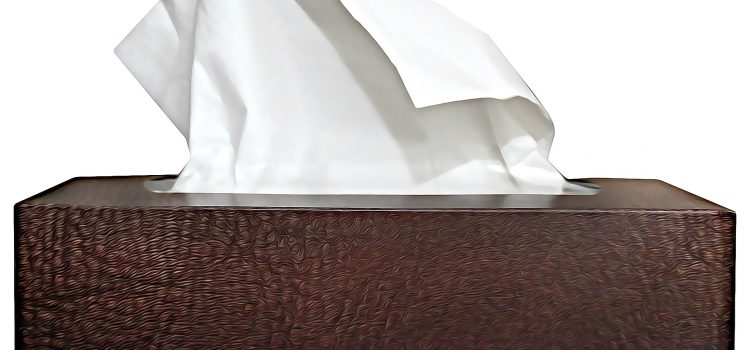 Les boîtes à mouchoirs : l’accessoire incontournable